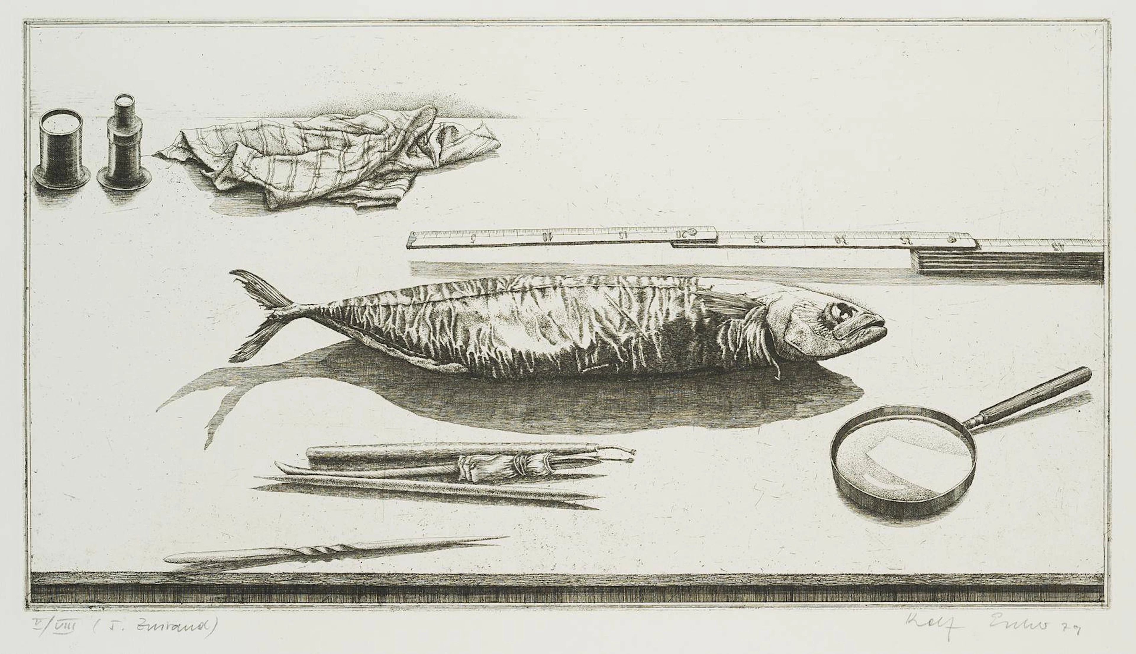 Radierfisch, 5. Zustand | 16531