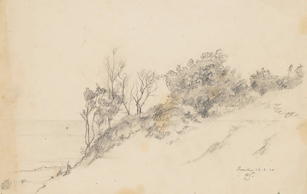 Studie bewachsener Dünen mit Blick auf Meer | 61956