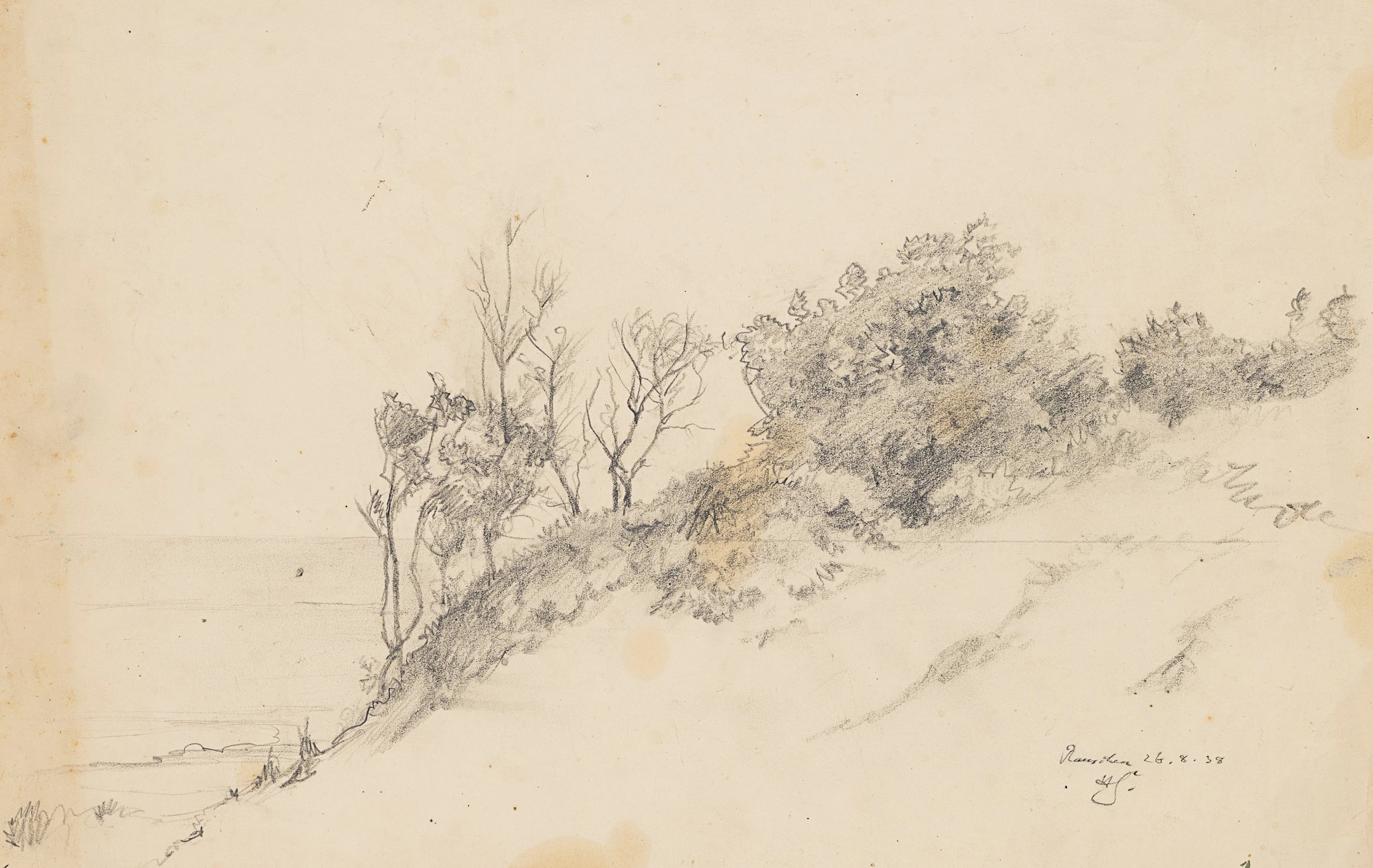 Studie bewachsener Dünen mit Blick auf Meer | 61956
