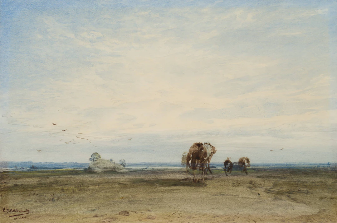 Weite Landschaft, wohl Ceylon | 11969