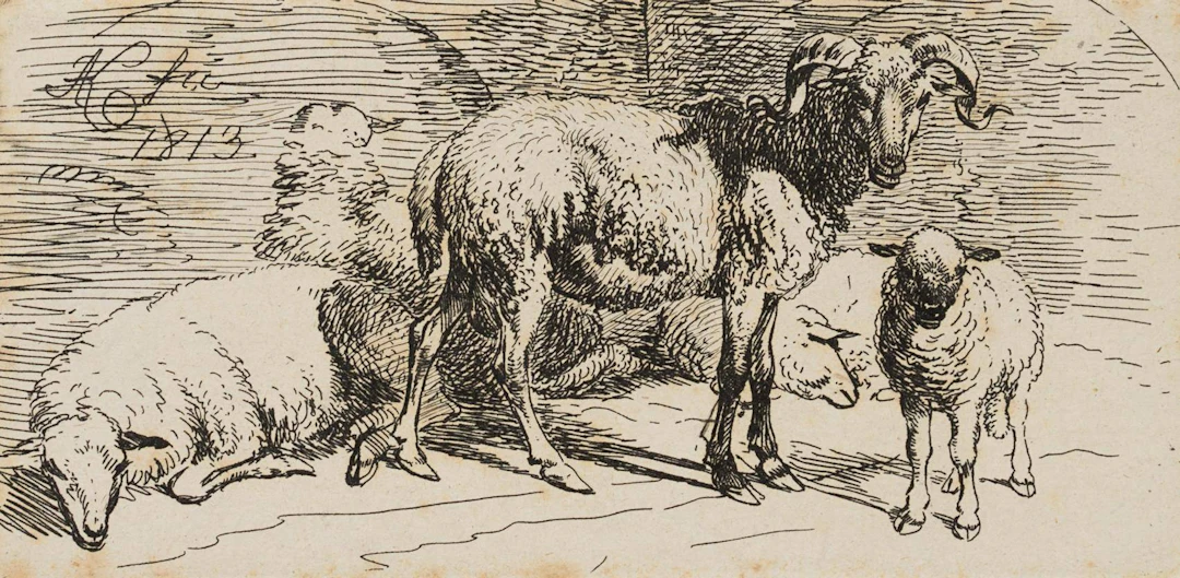 Widder und Lamm