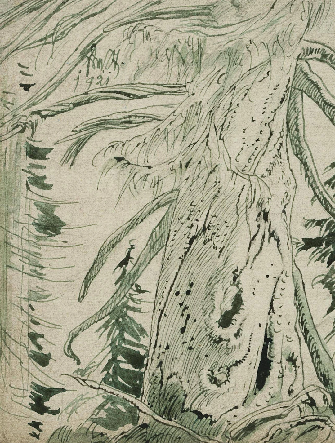 Alter Baumriese | 17668