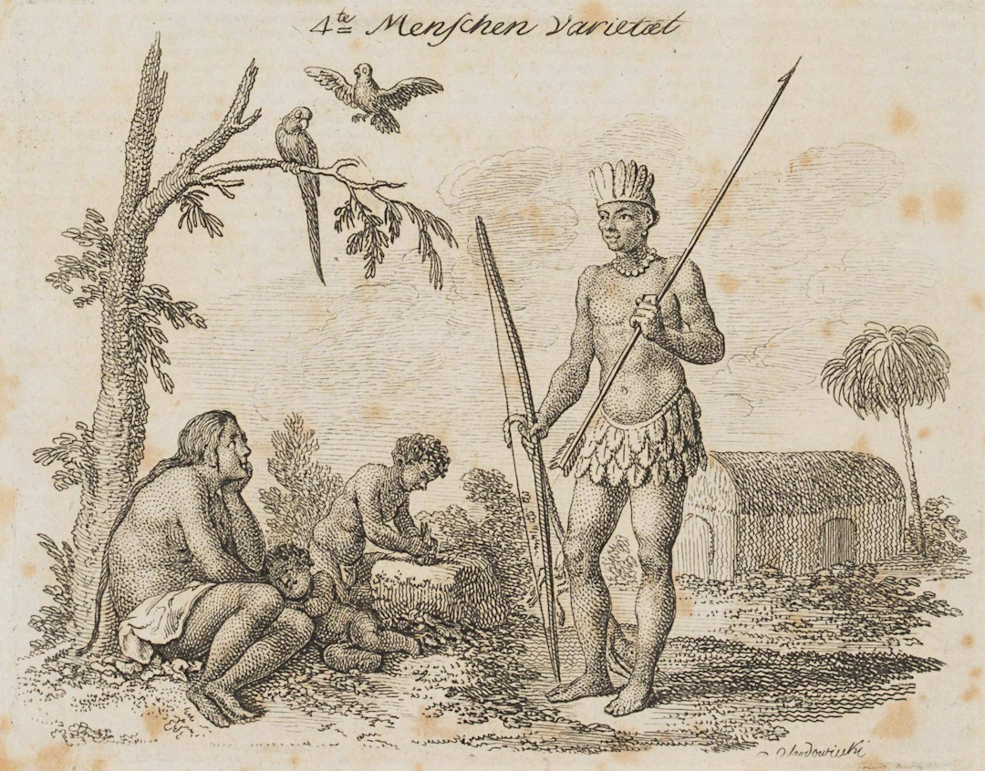 Die amerikanische Menschen-Varietät | 13746