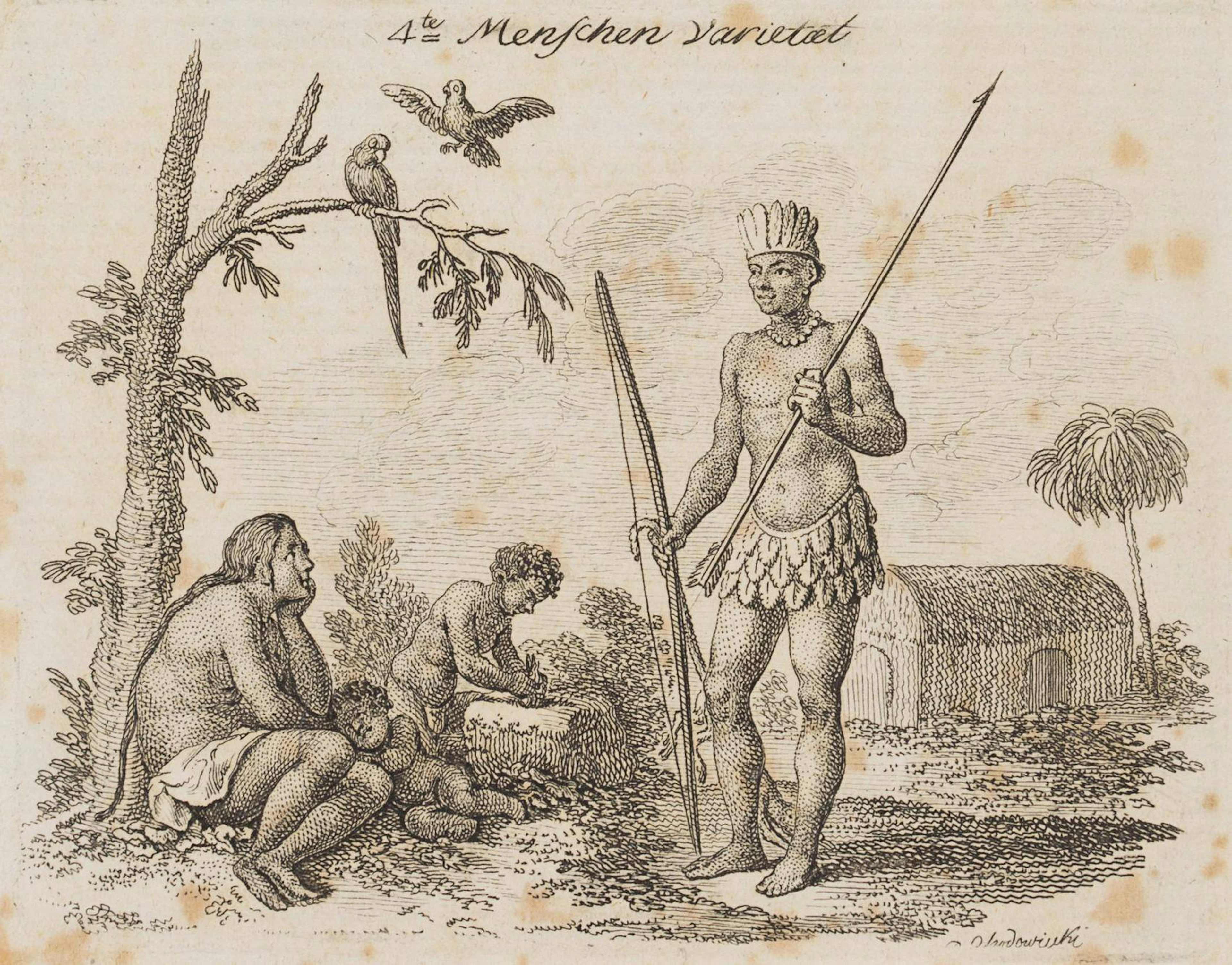 Die amerikanische Menschen-Varietät | 13746