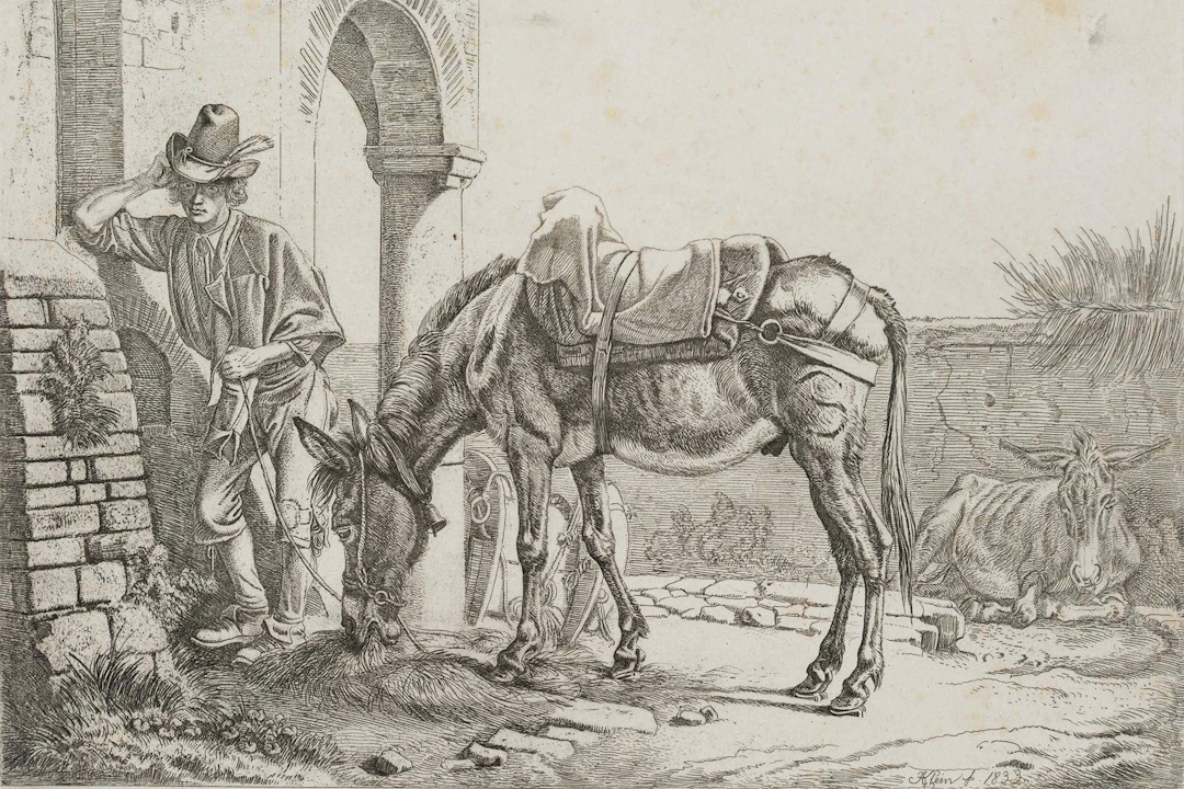 Das fressende Maultier an der Säule | 17215