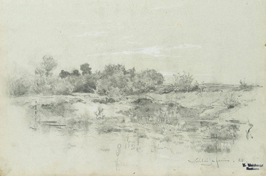 Wildnis bei Schleißheim | 15983