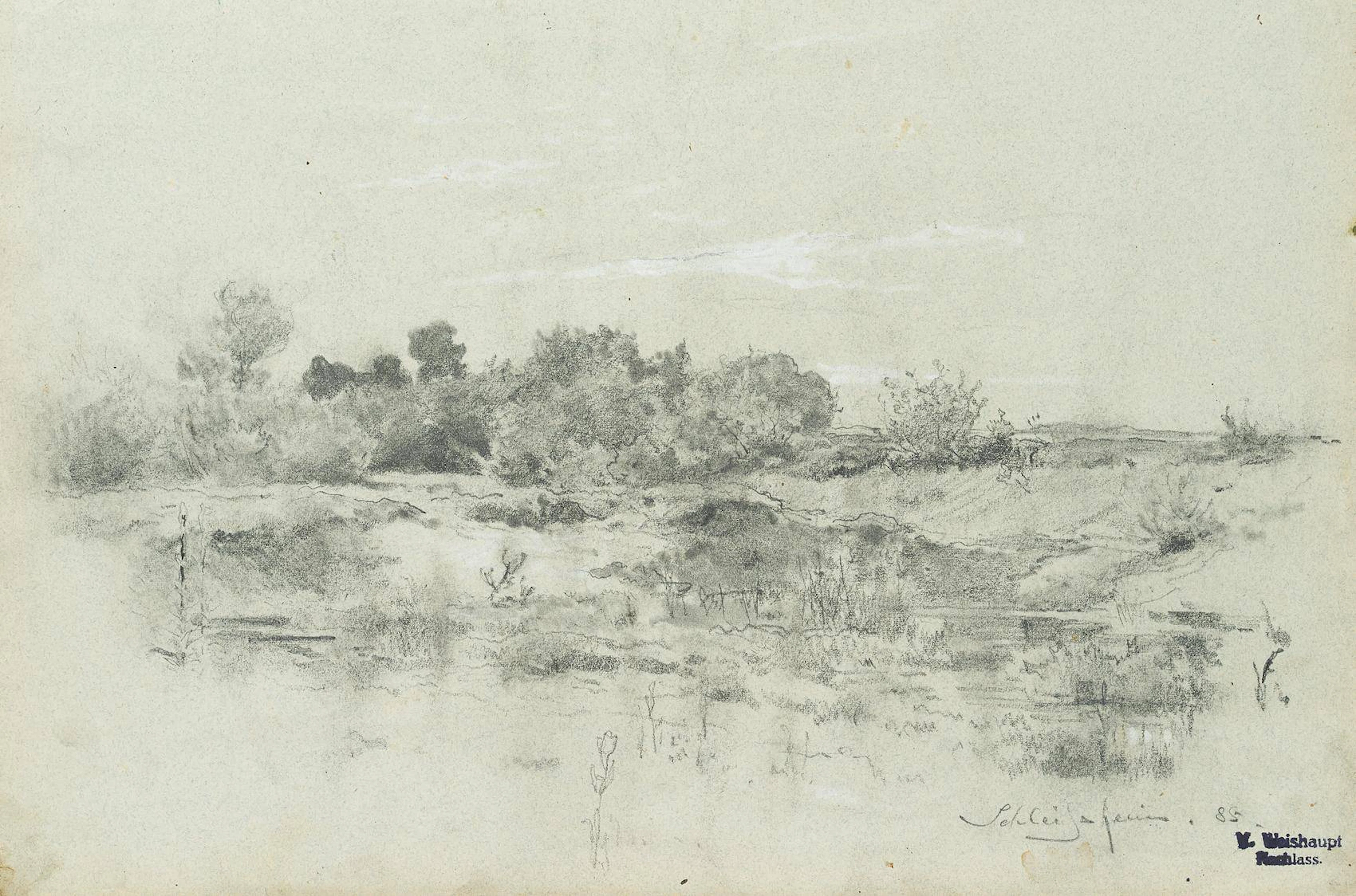 Wildnis bei Schleißheim | 15983