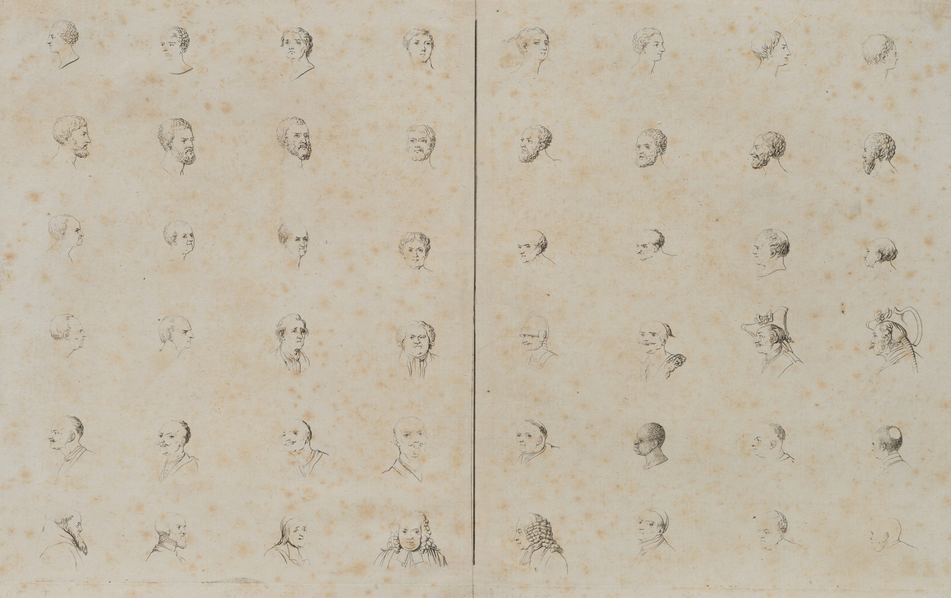 48 männliche Köpfe zu Lavater's physiognomischen Fragmenten | 14533