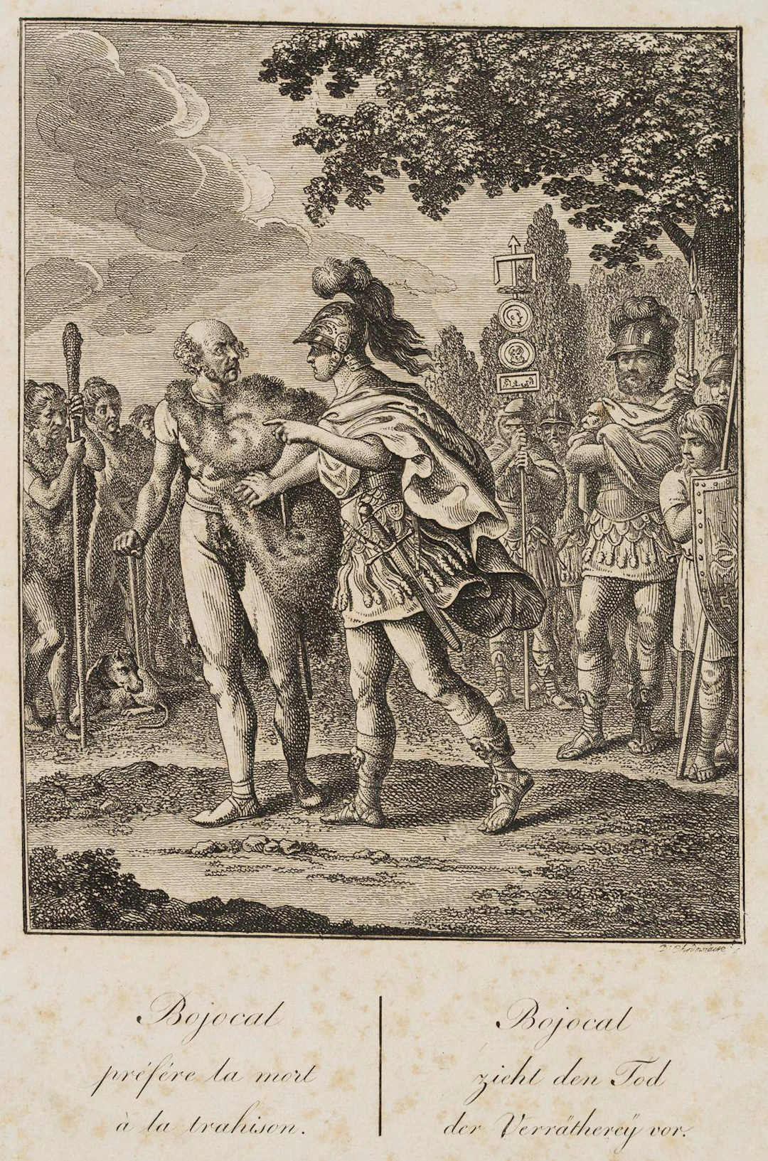 Der Germane Bojokal | 13766