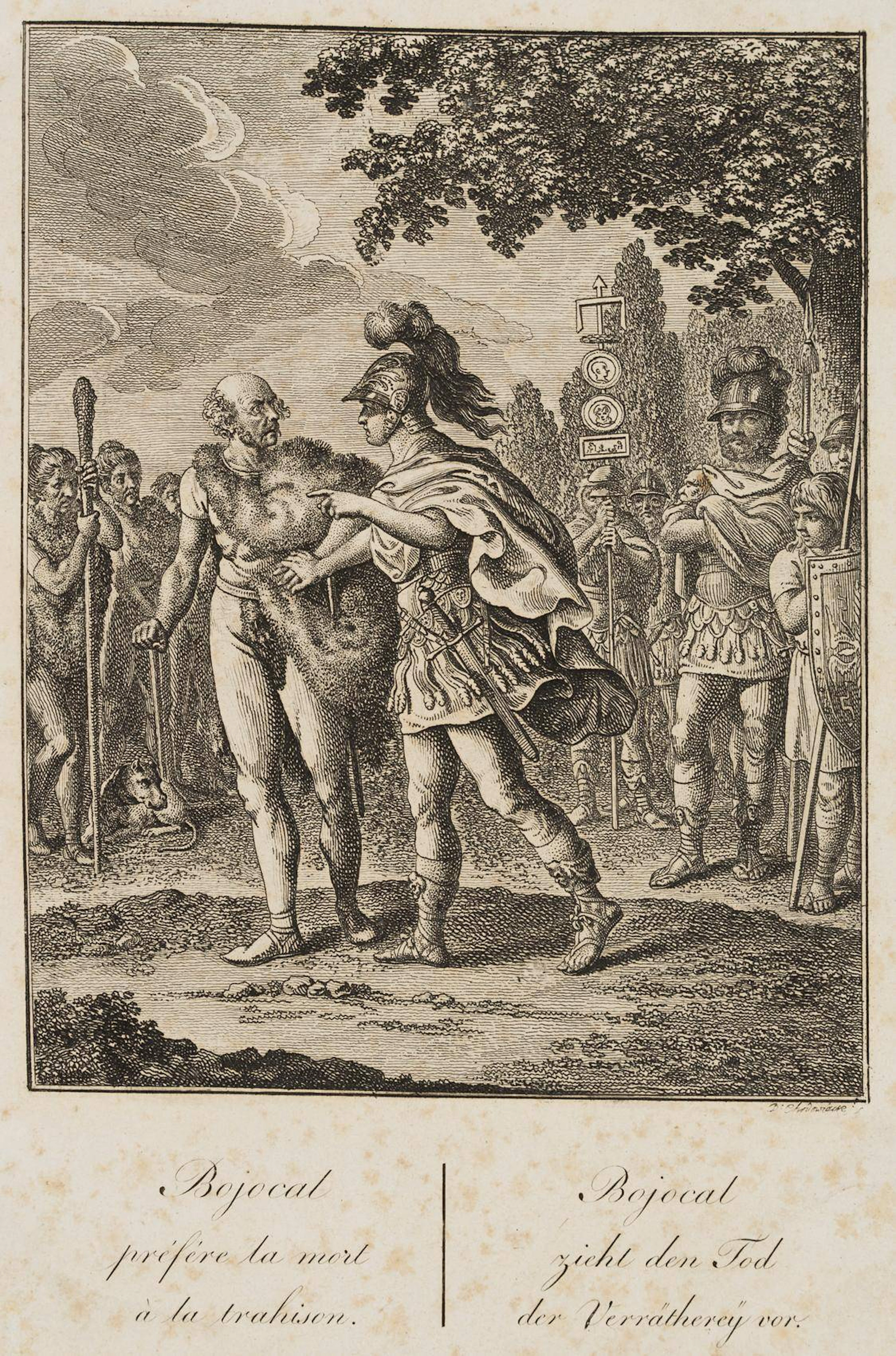 Der Germane Bojokal | 13766