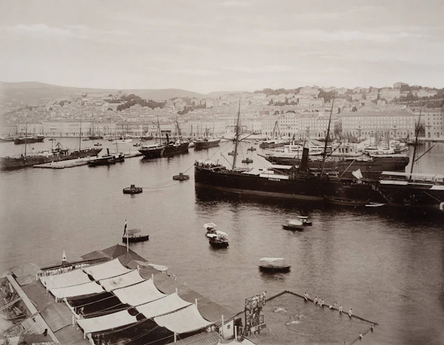 Hafen von Trieste mit großen Schiffen | 48384