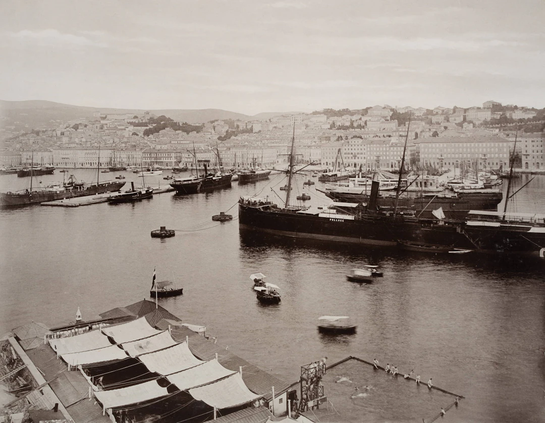 Hafen von Trieste mit großen Schiffen | 48384