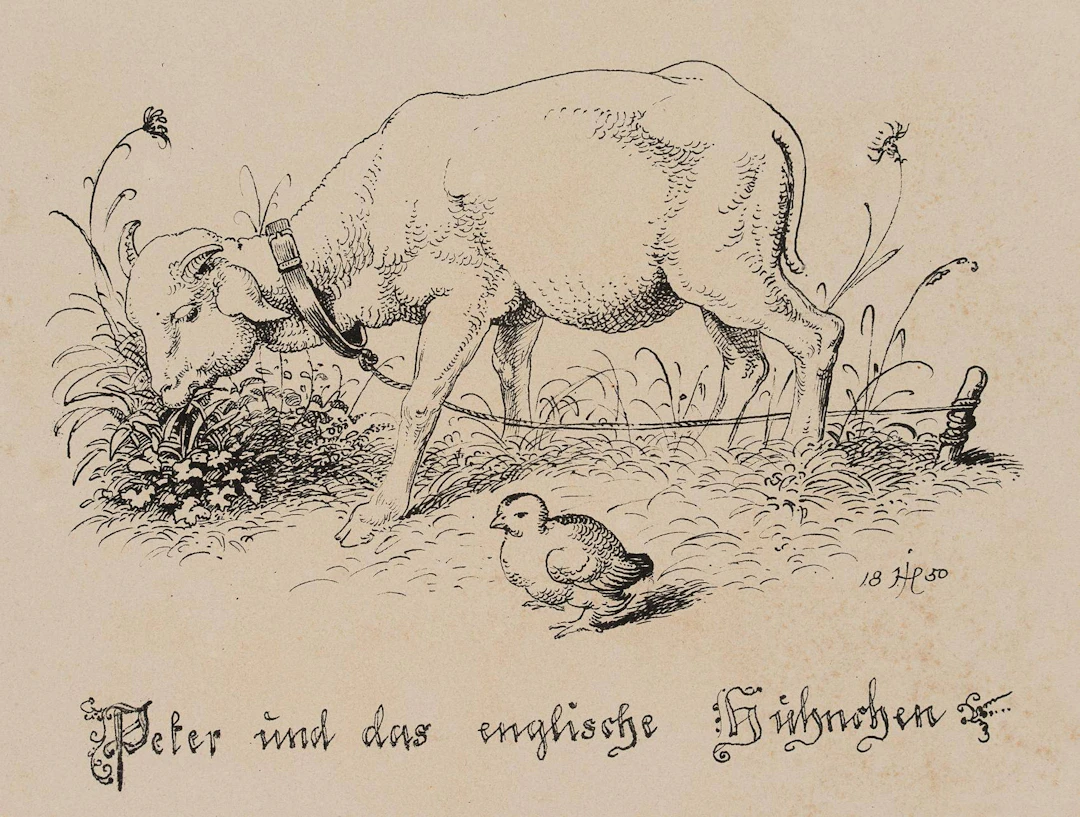 Peter und das englische Hühnchen | 14573