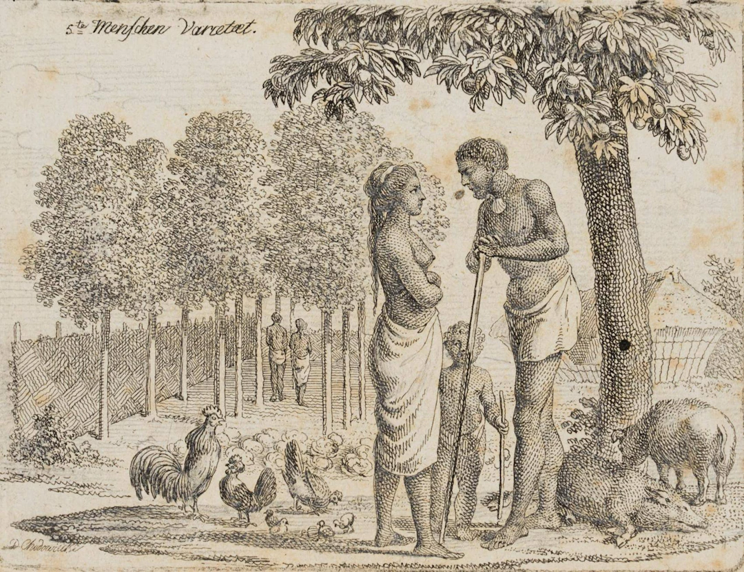 Die Malayische Menschen-Varietät | 13688
