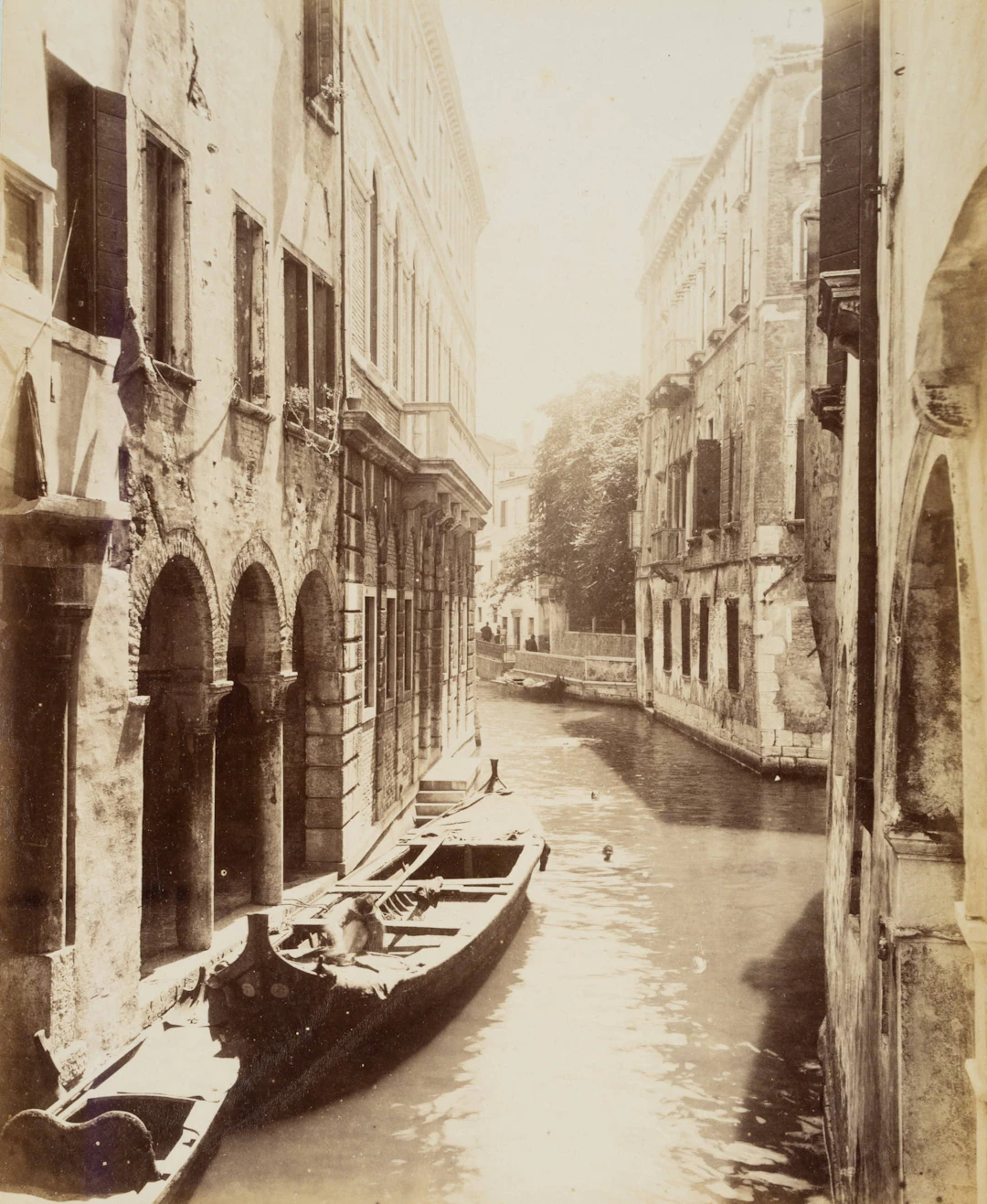 Schwimmende im Kanal, Venedig | 48372
