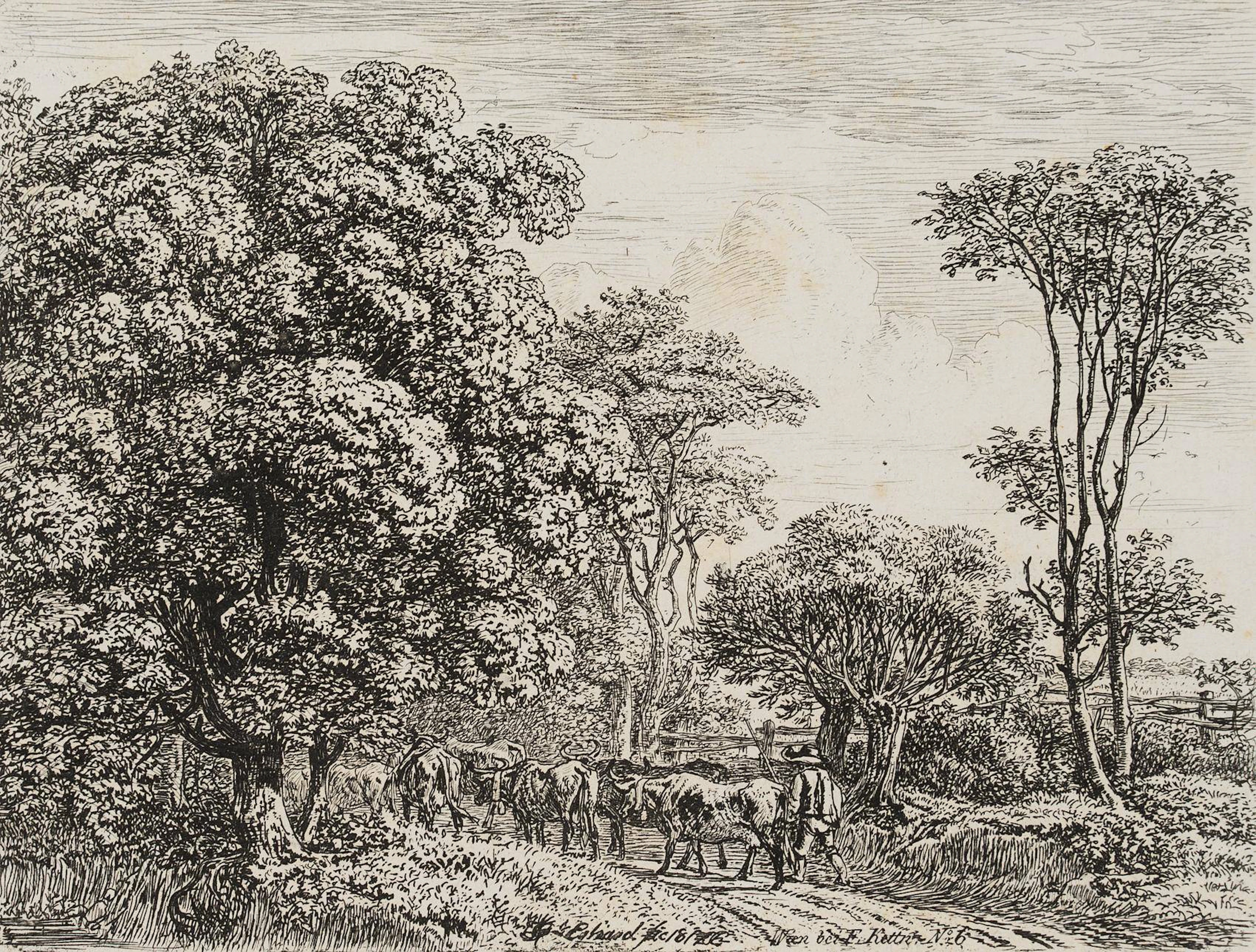 In ein Gehölz ziehende Kuhherde | 17129
