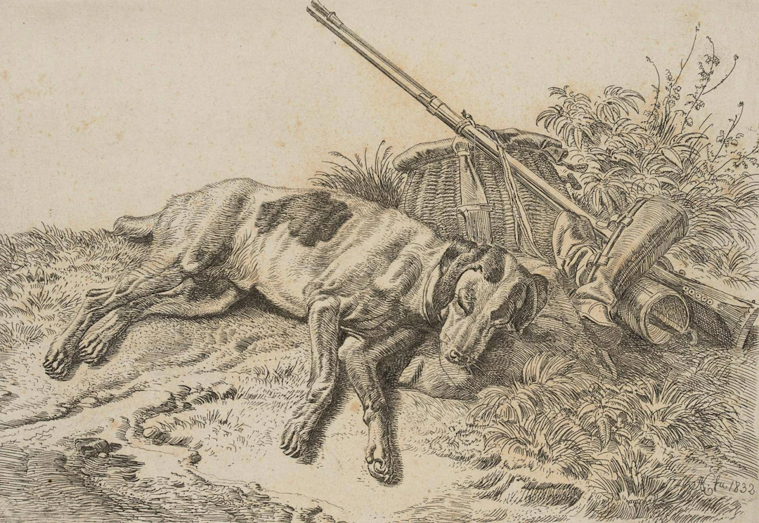 Der Hühnerhund bei den Gamaschen | 17209