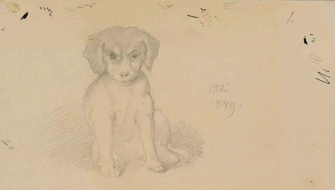 Der Familienhund Ali | 14559