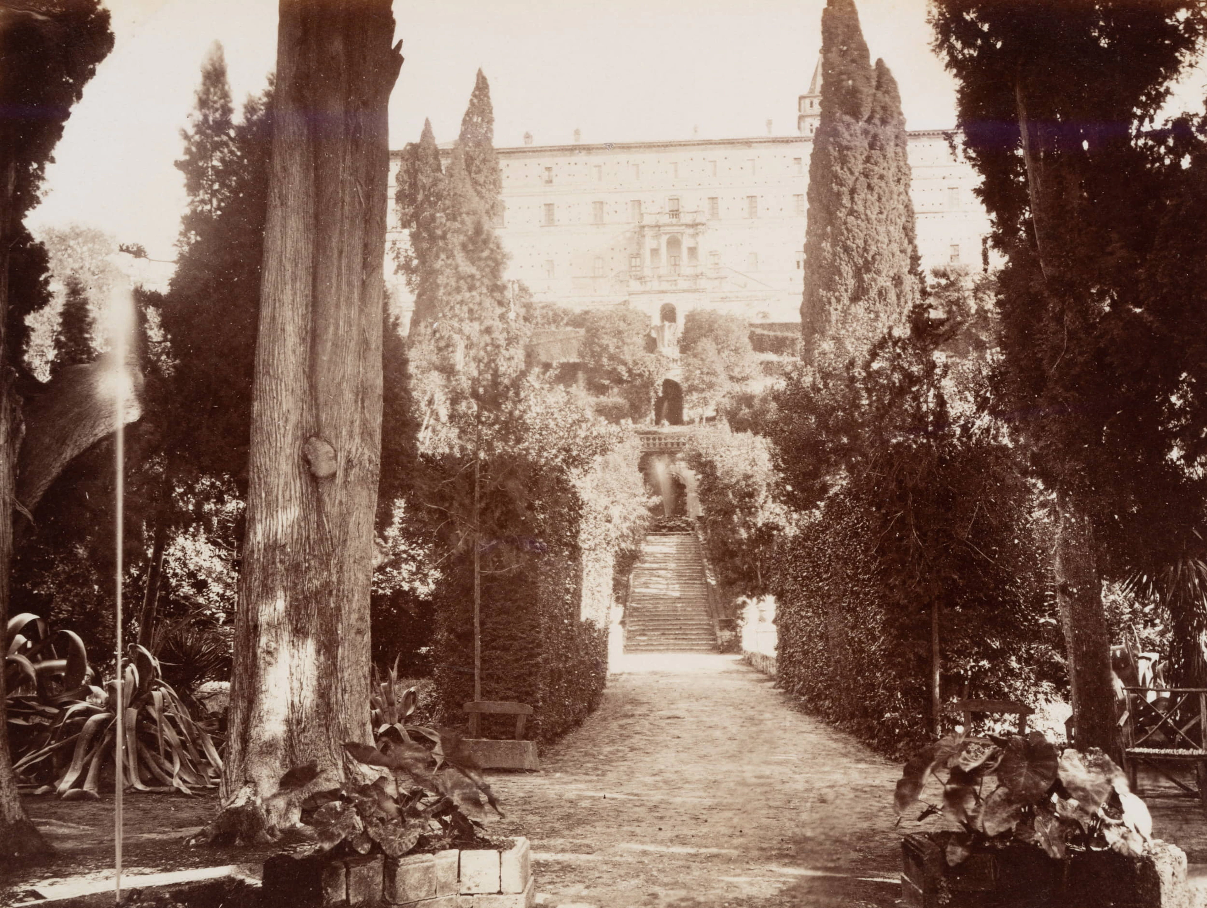 Villa D'Este, Tivoli | 48434
