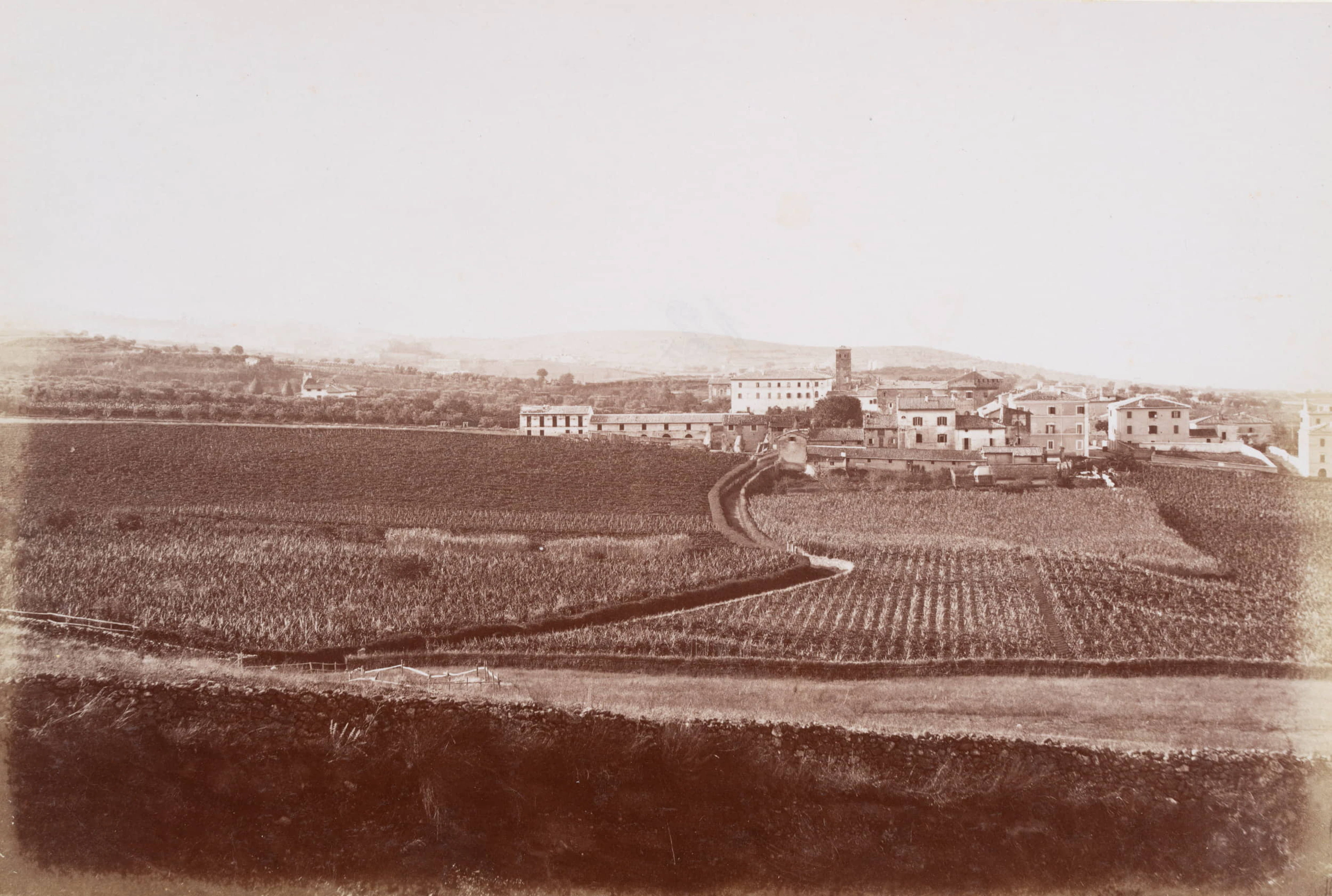 Ansicht von Grottaferrata, Latium | 48388