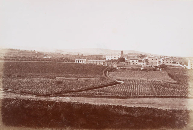 Ansicht von Grottaferrata, Latium | 48388