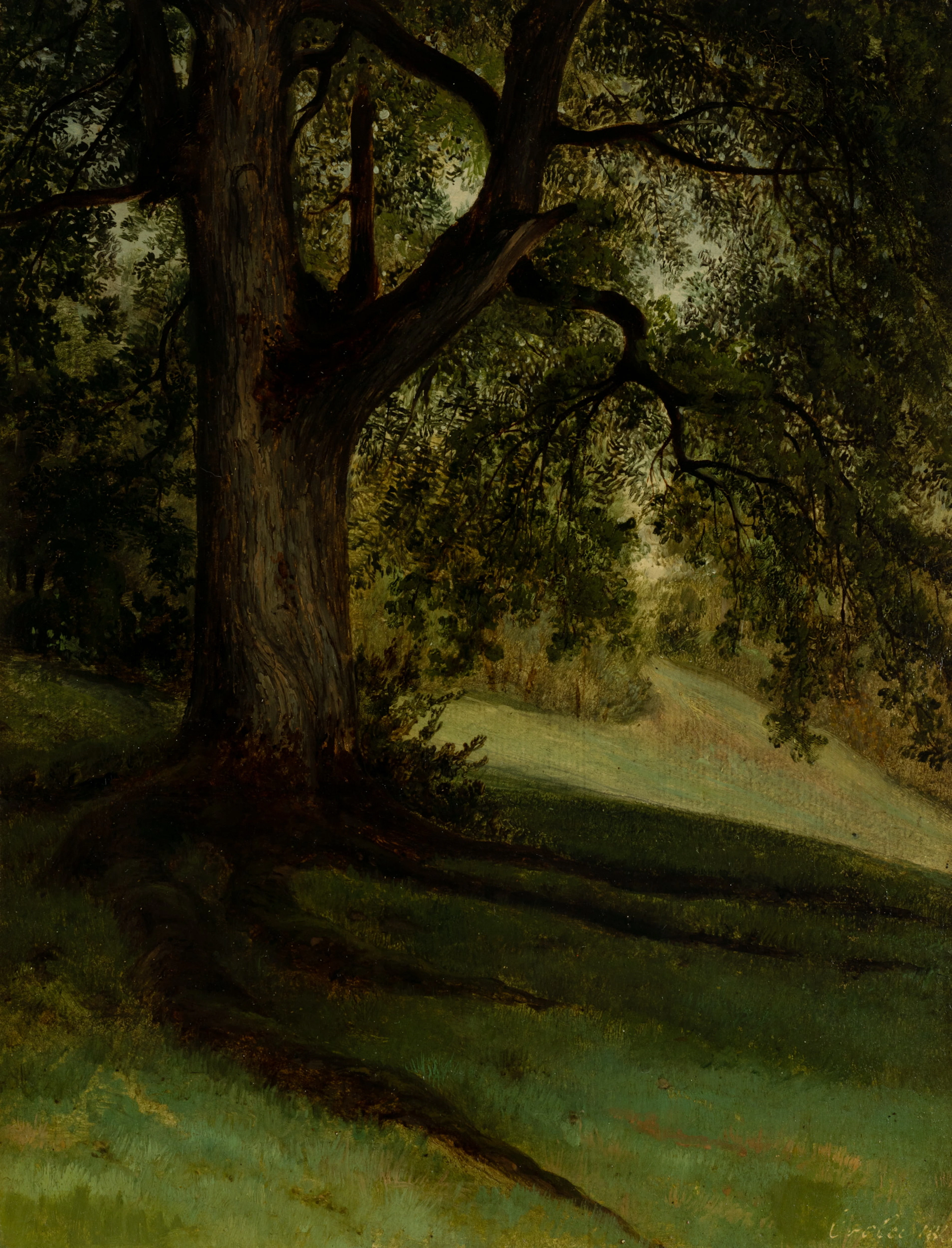 Georg Heinrich Crola (1804 Dresden - 1879 Ilsenburg), Waldwiese im