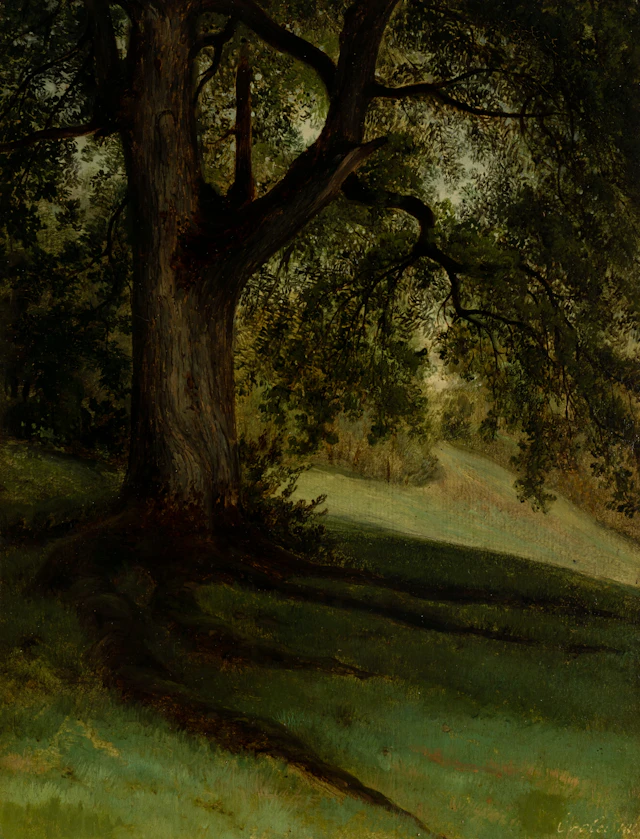 Georg Heinrich Crola (1804 Dresden - 1879 Ilsenburg), Waldwiese im