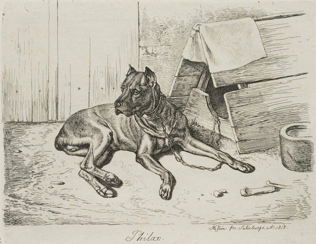 Philax, liegender Hatzhund | 17211