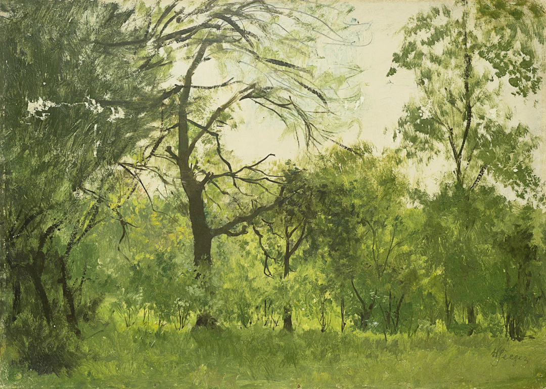 Waldlichtung im Sommer | 62042