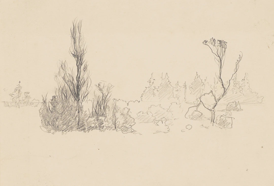 Landschaftsstudie mit Baumgruppen | 61969
