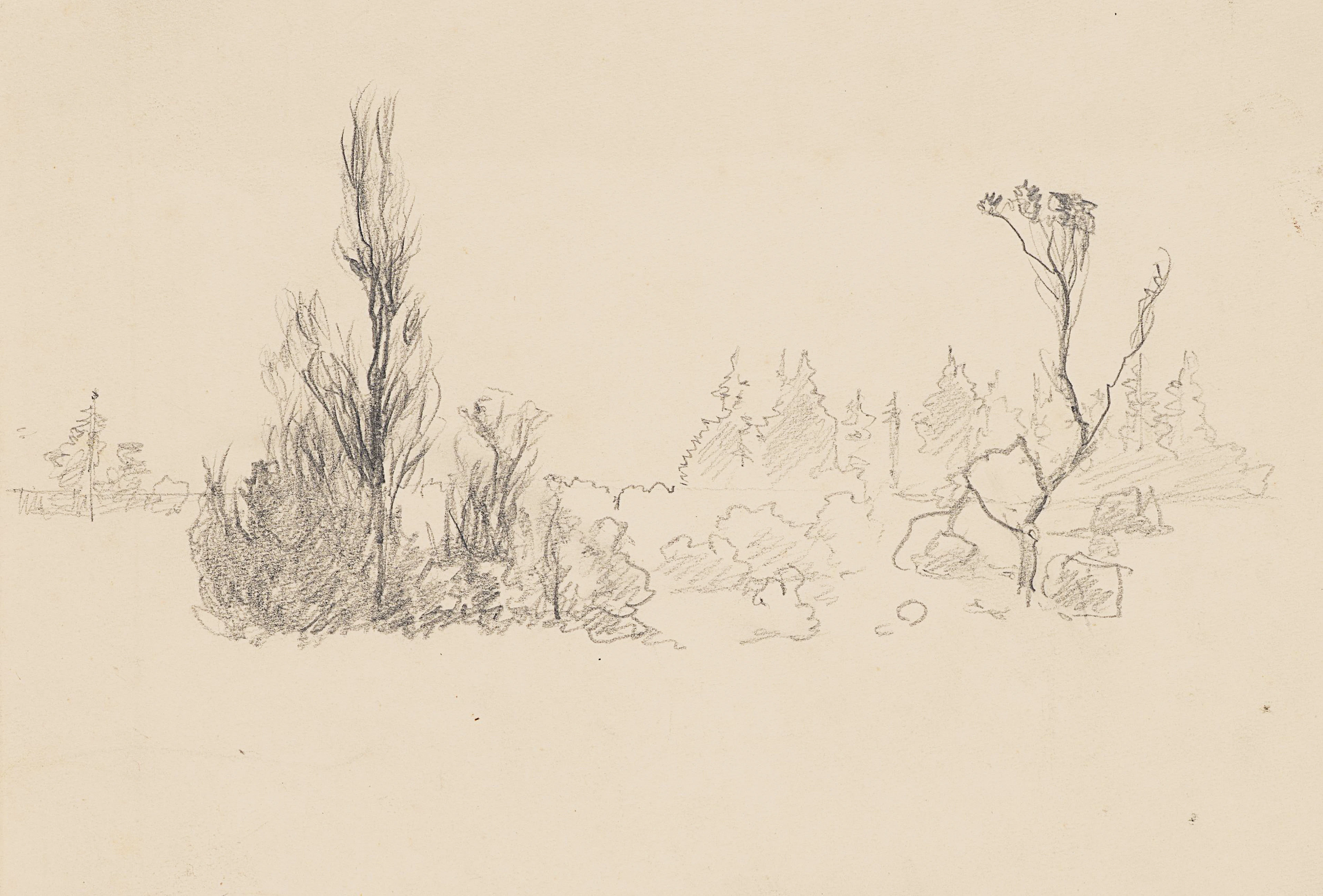 Landschaftsstudie mit Baumgruppen | 61969