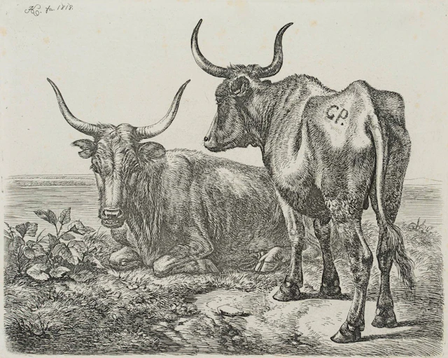 Polnische Ochsen am Wasser | 17191