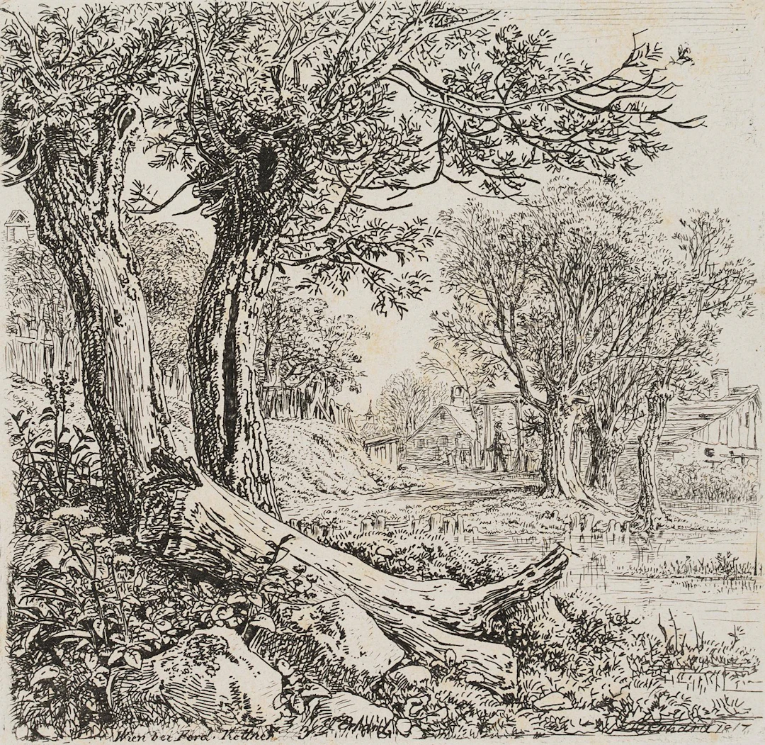 Der gefällte Weidenstamm | 17125