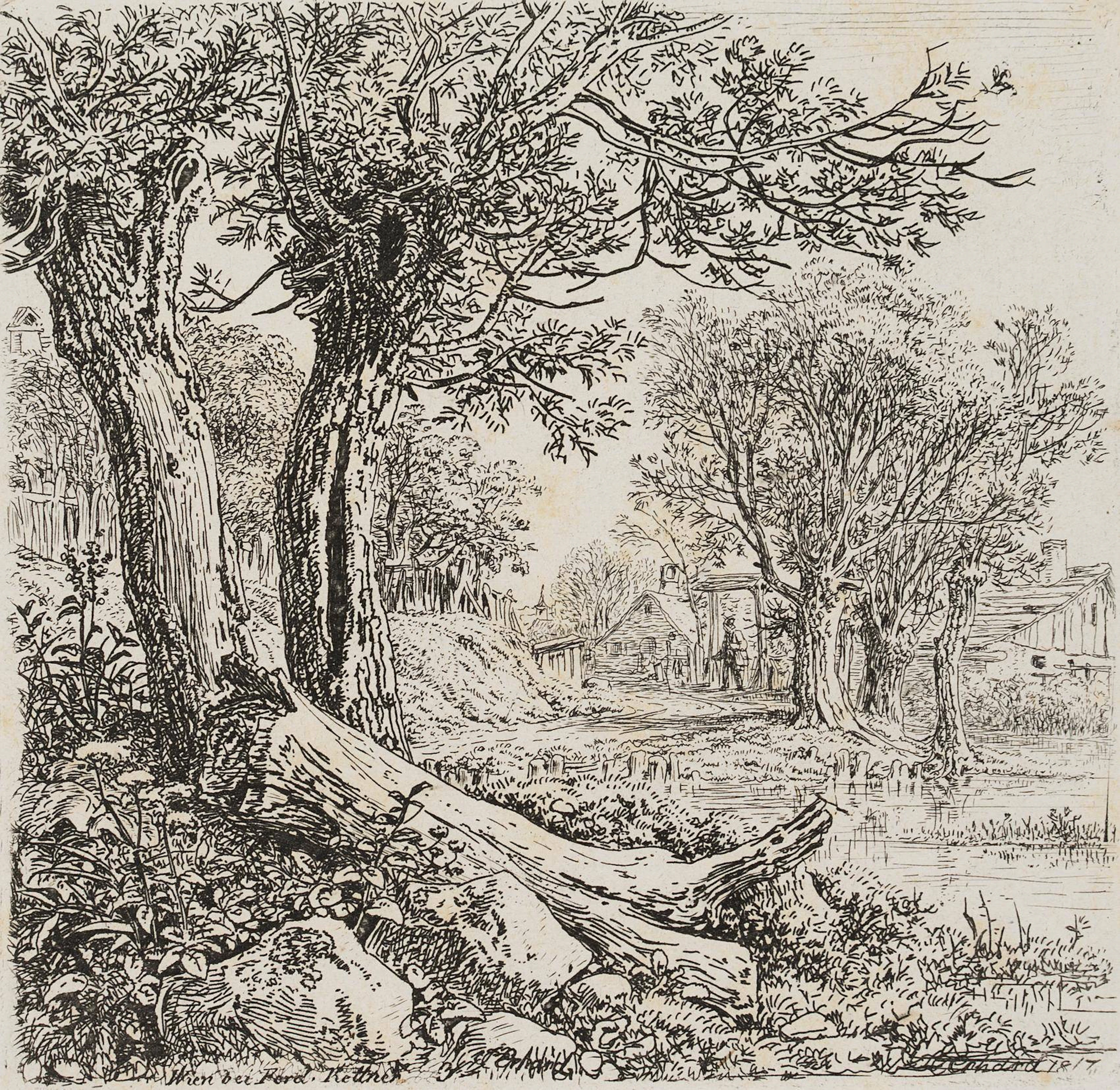 Der gefällte Weidenstamm | 17125