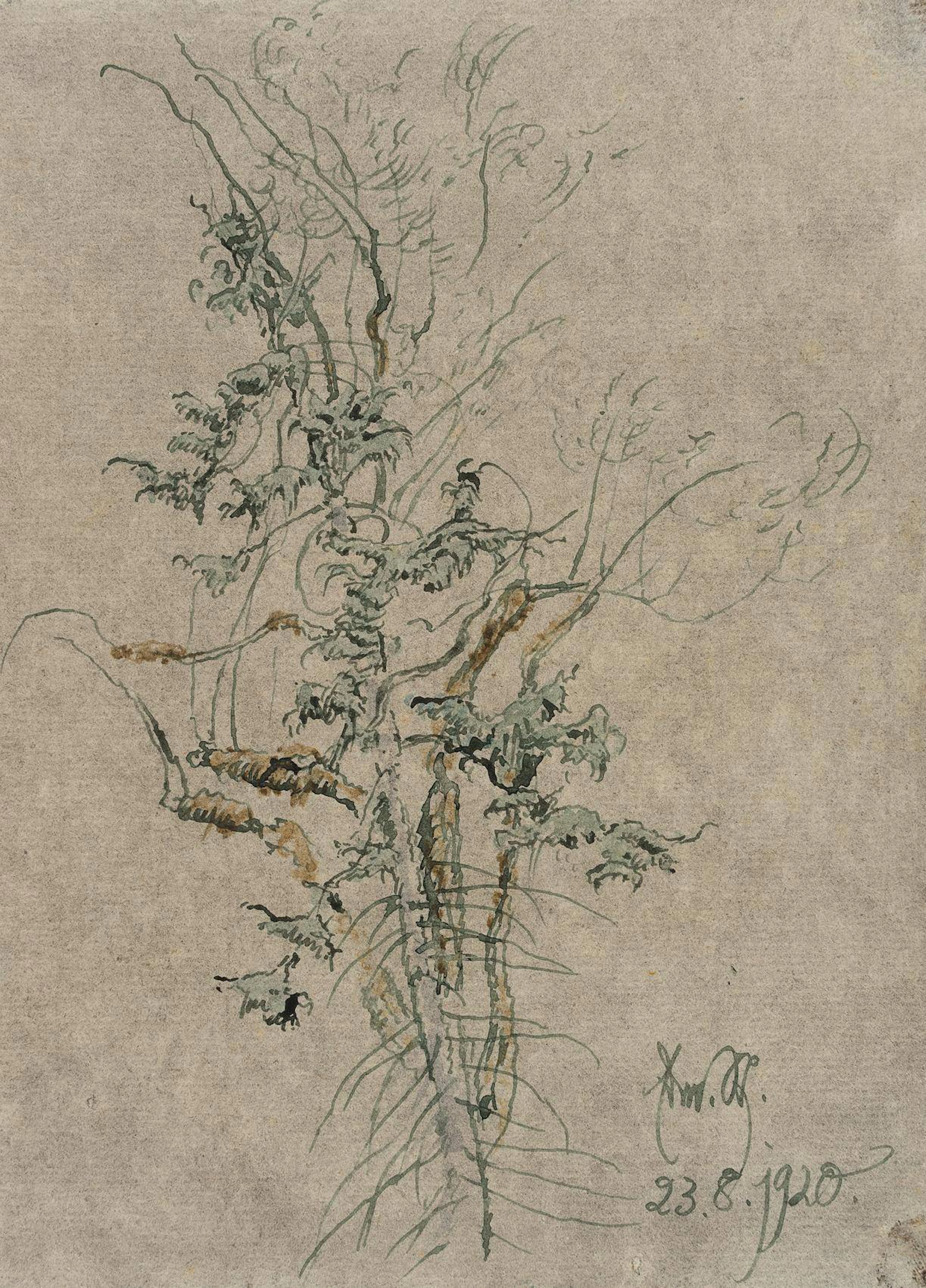 Baumstudie | 17427