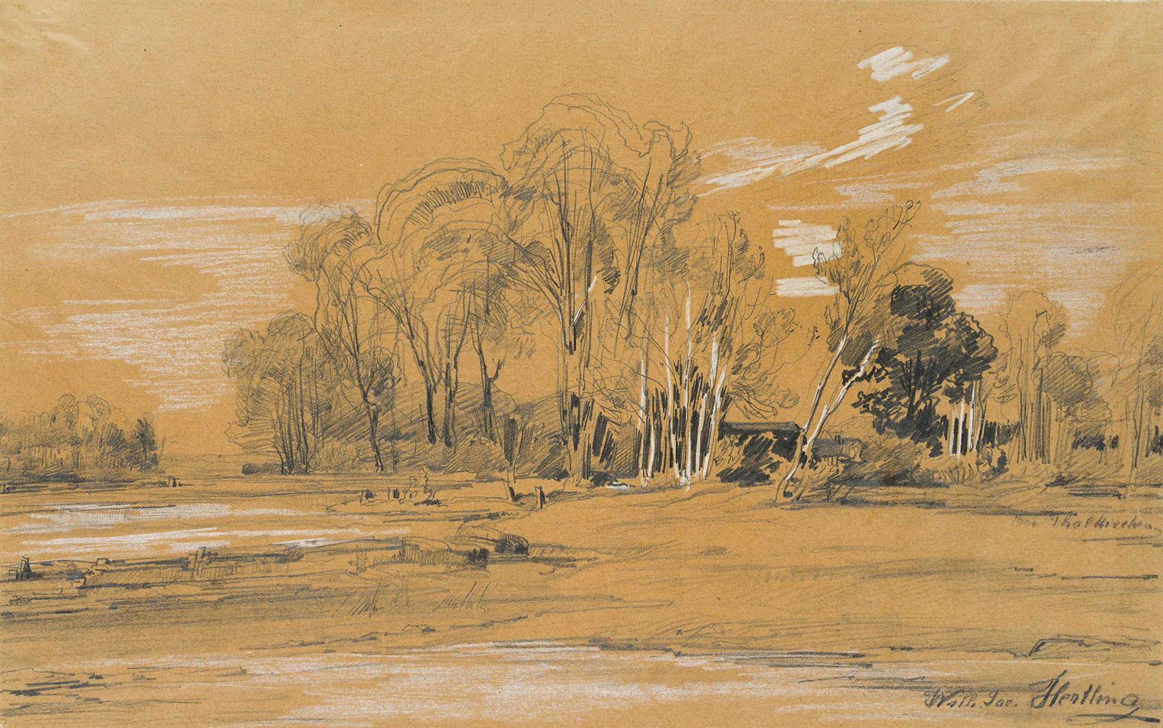 Auwald der Isar bei München | 15945
