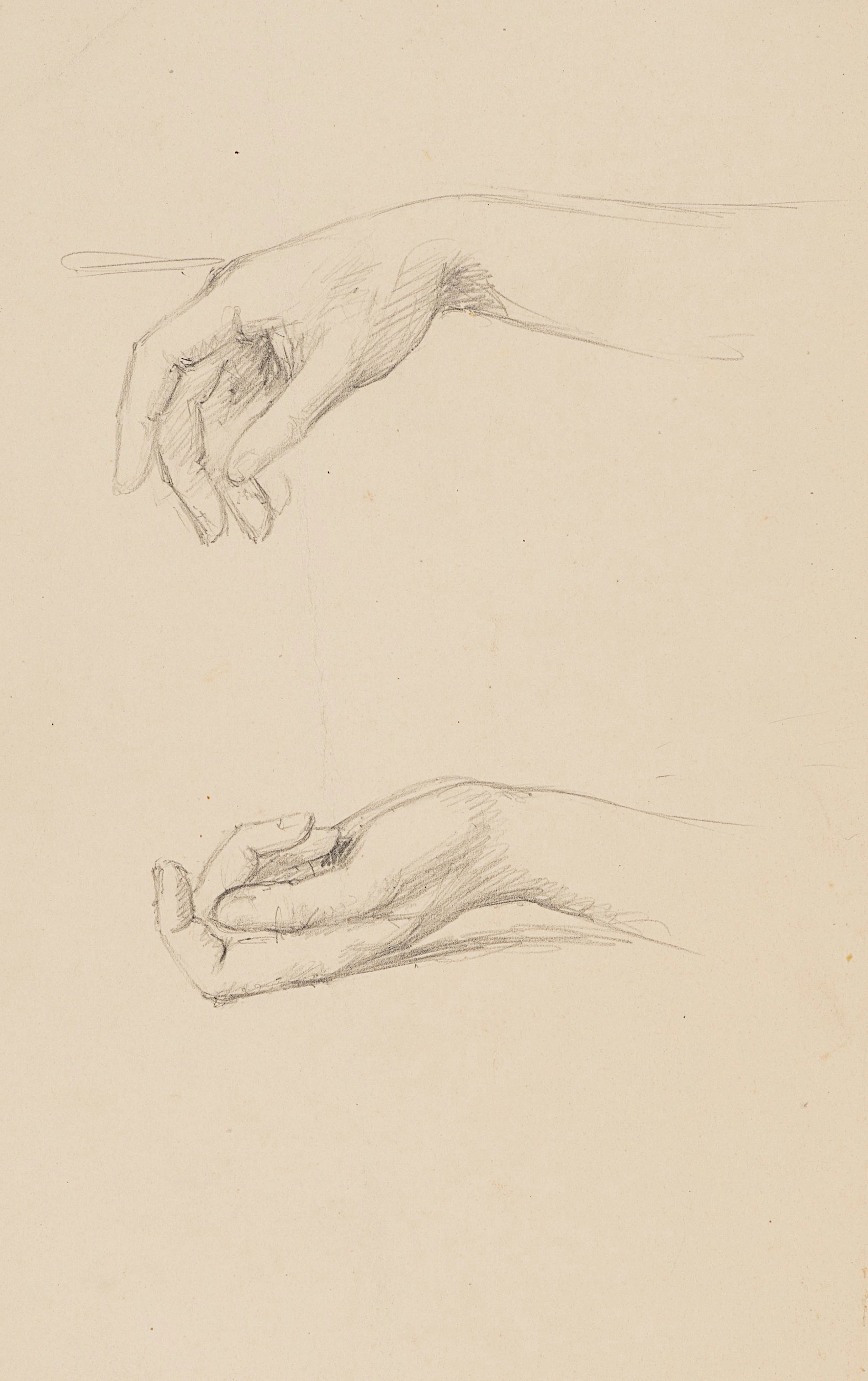Zwei Handstudien | 61927