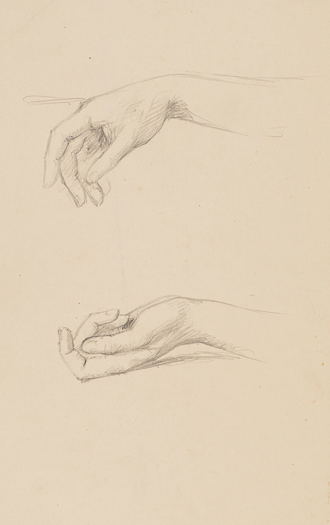 Zwei Handstudien | 61927