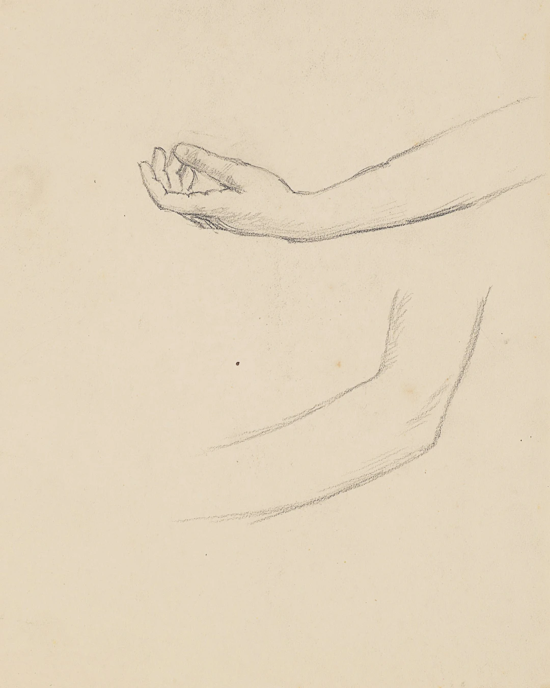 Armstudien, zwei Ansichten | 61925