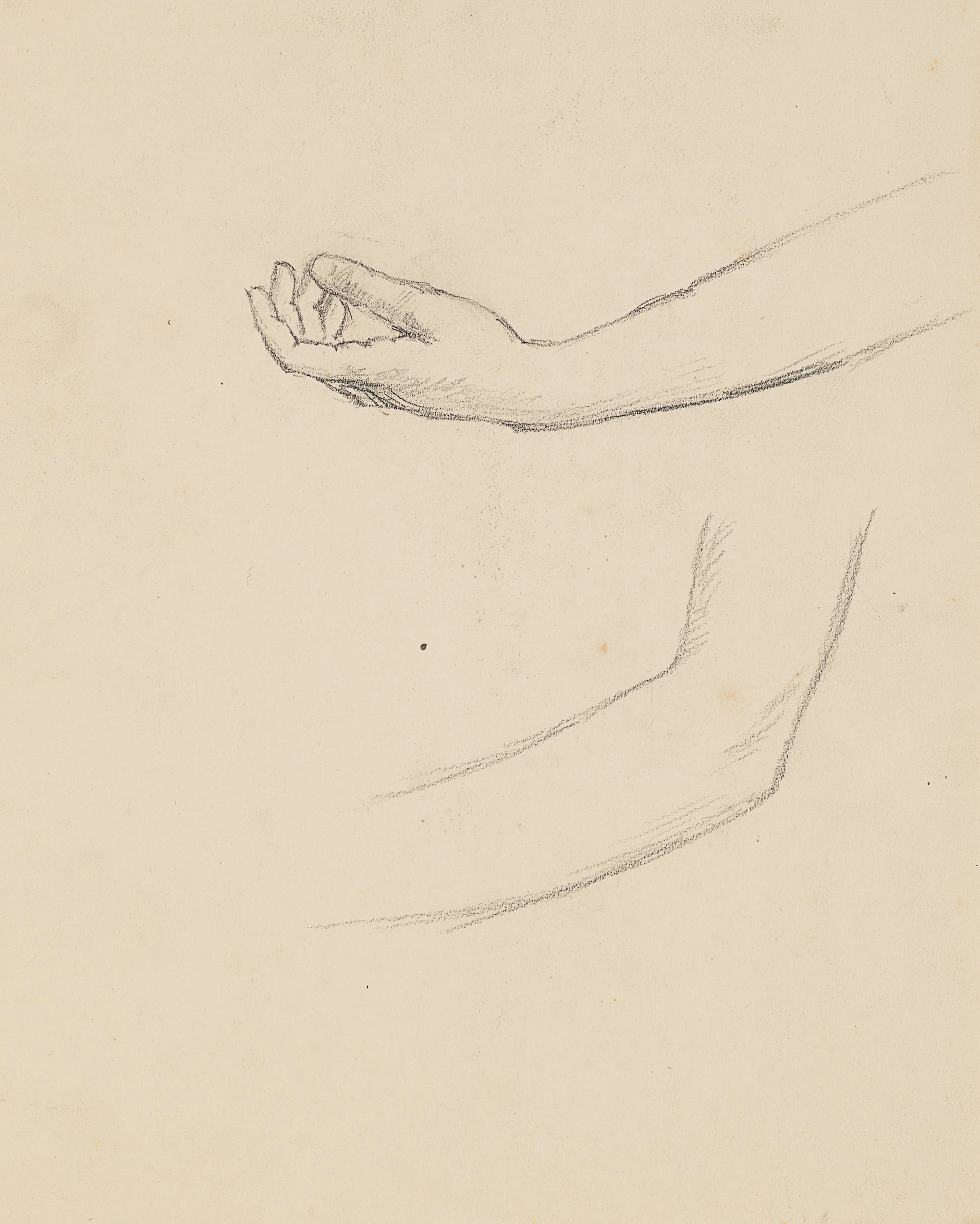 Armstudien, zwei Ansichten | 61925