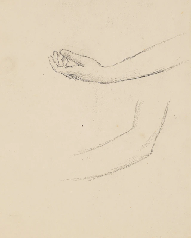 Armstudien, zwei Ansichten | 61925