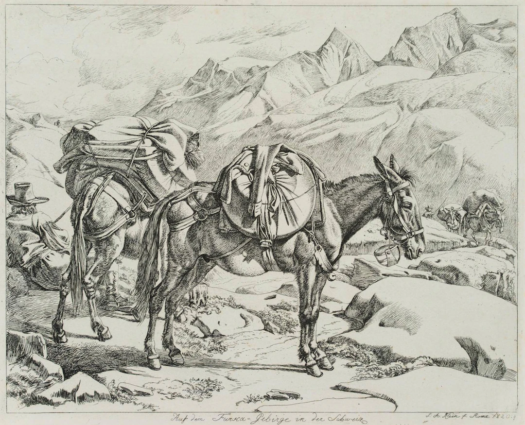 Auf dem Furca-Gebirge in der Schweiz | 17214