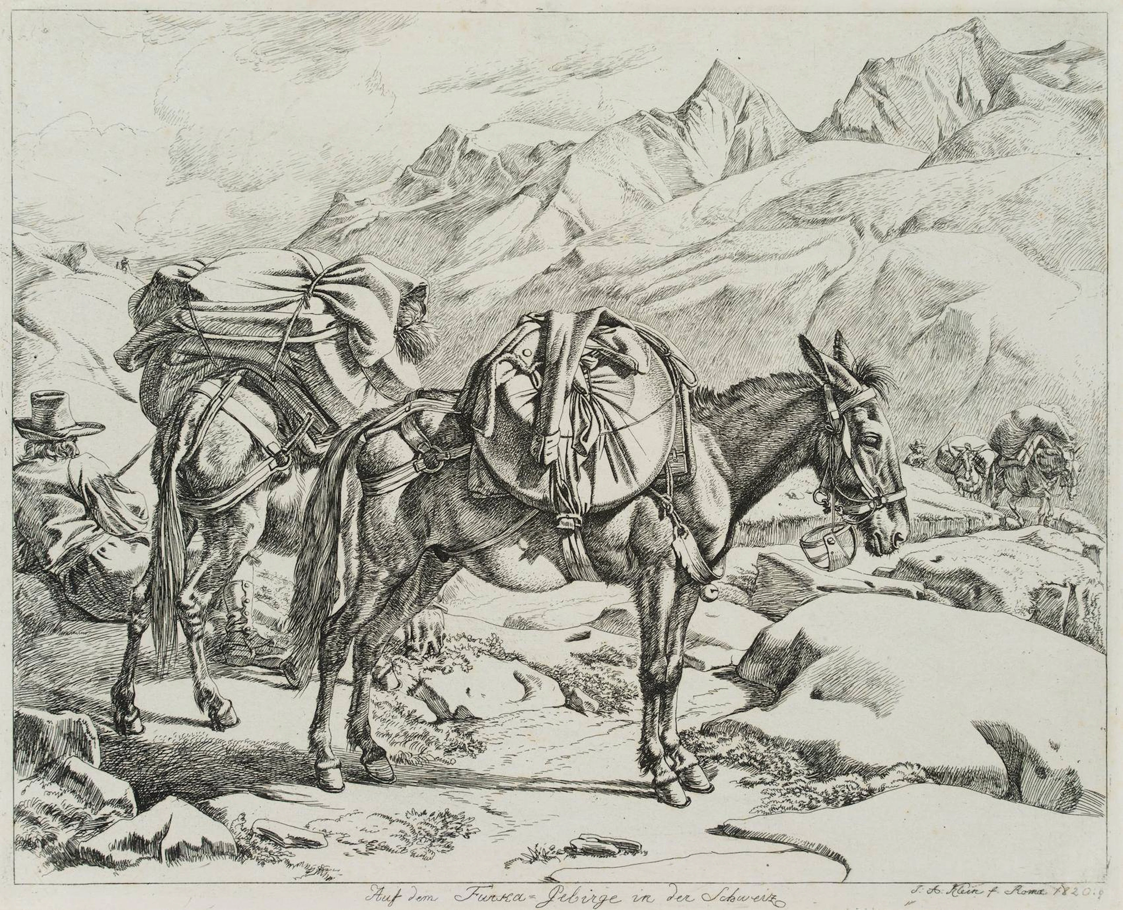 Auf dem Furca-Gebirge in der Schweiz | 17214