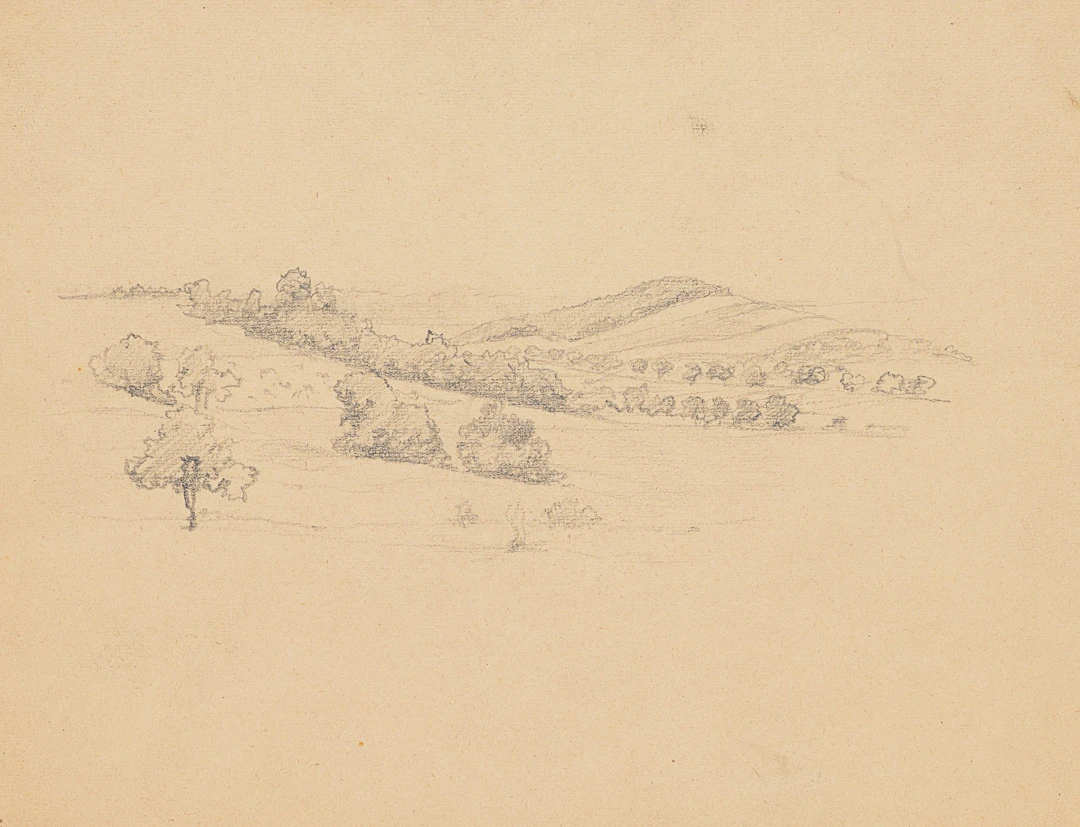 Landschaftsstudie mit Feldern und Bäumen | 61971