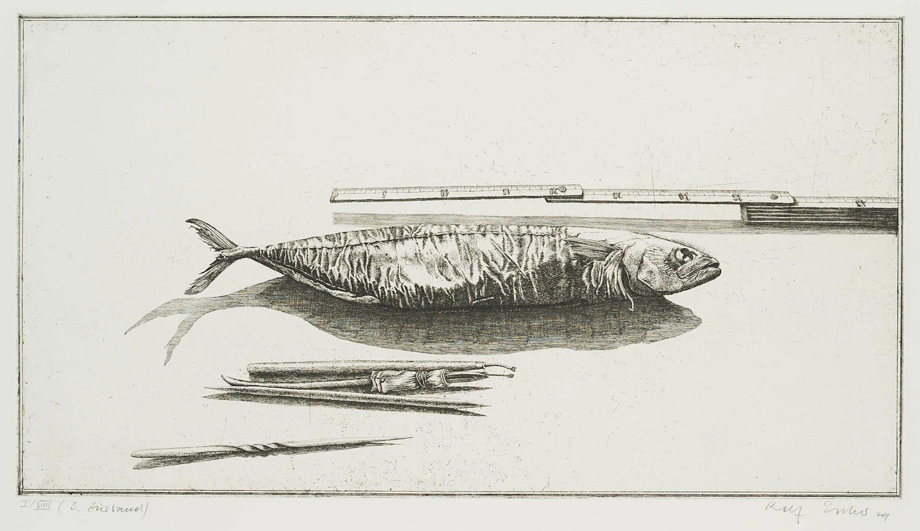 Radierfisch, 3. Zustand | 16532