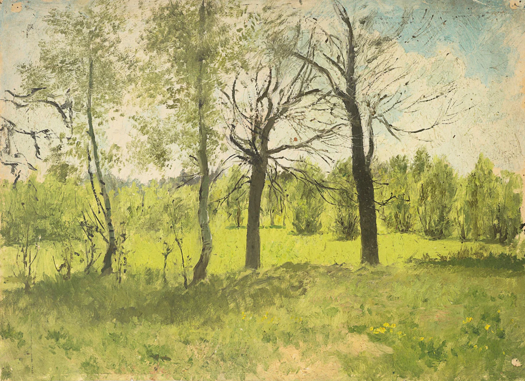 Baumlandschaft im Frühling | 62030