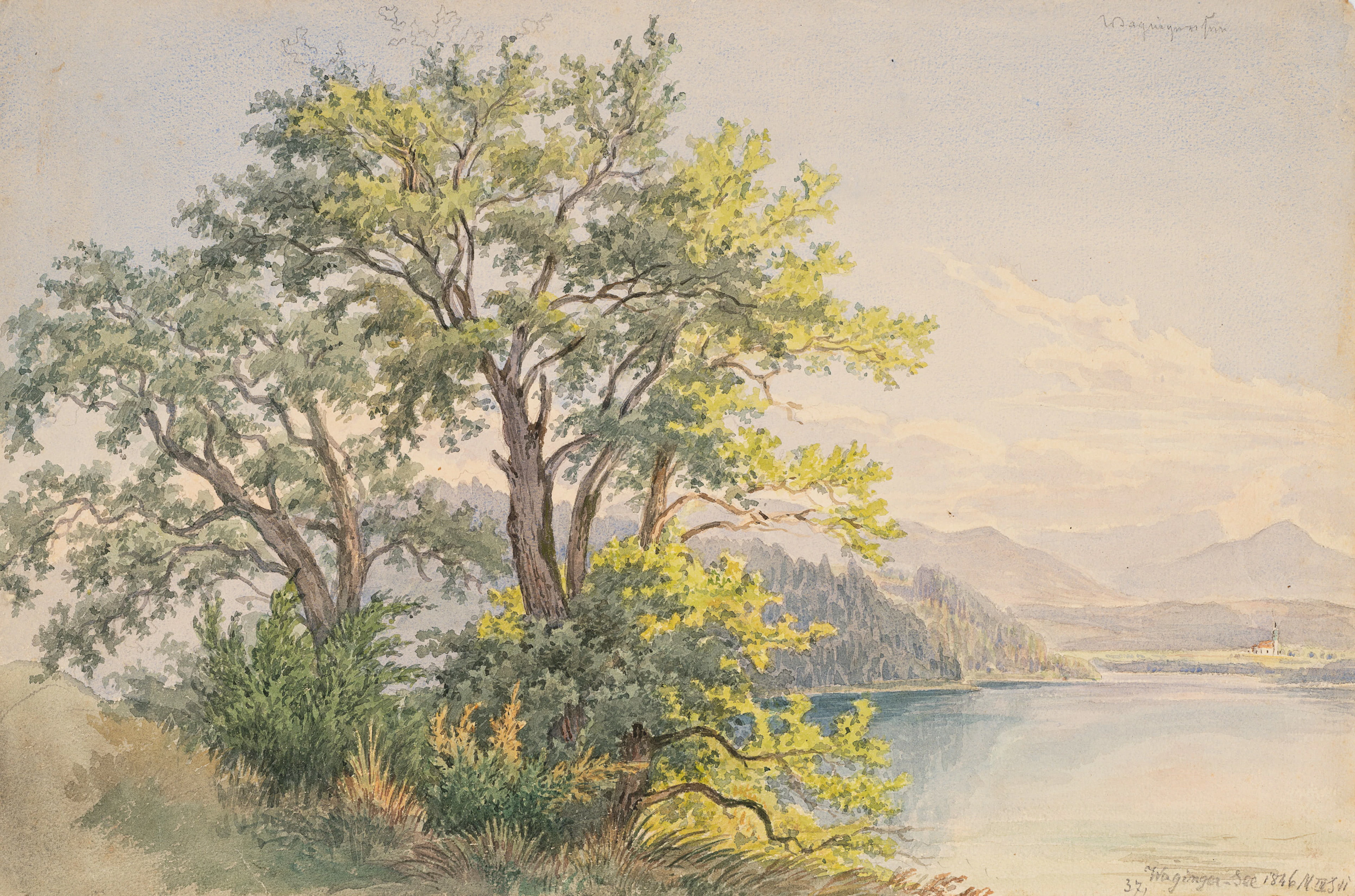 Georg Wiesend (1807 Kufstein - 1881 Berchtesgaden), Bäume am Waginger