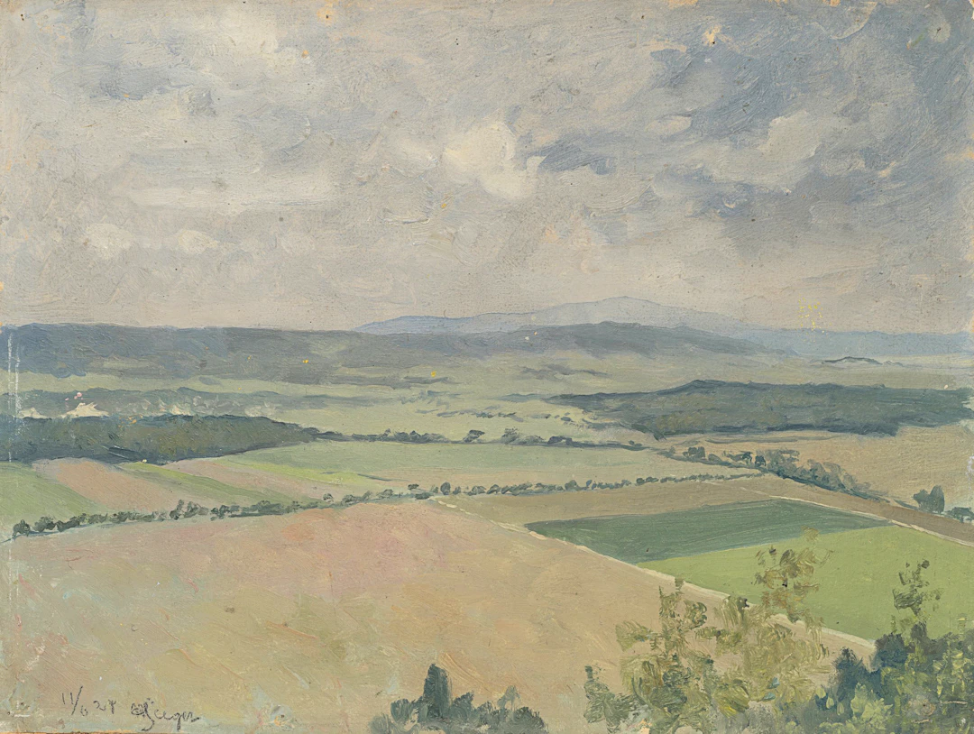 Weite Hügellandschaft mit Feldern | 62032