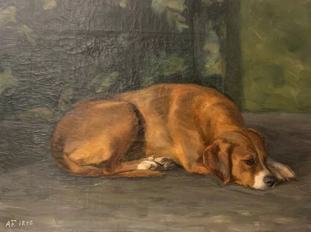 Resting dog | Anna af Forselles