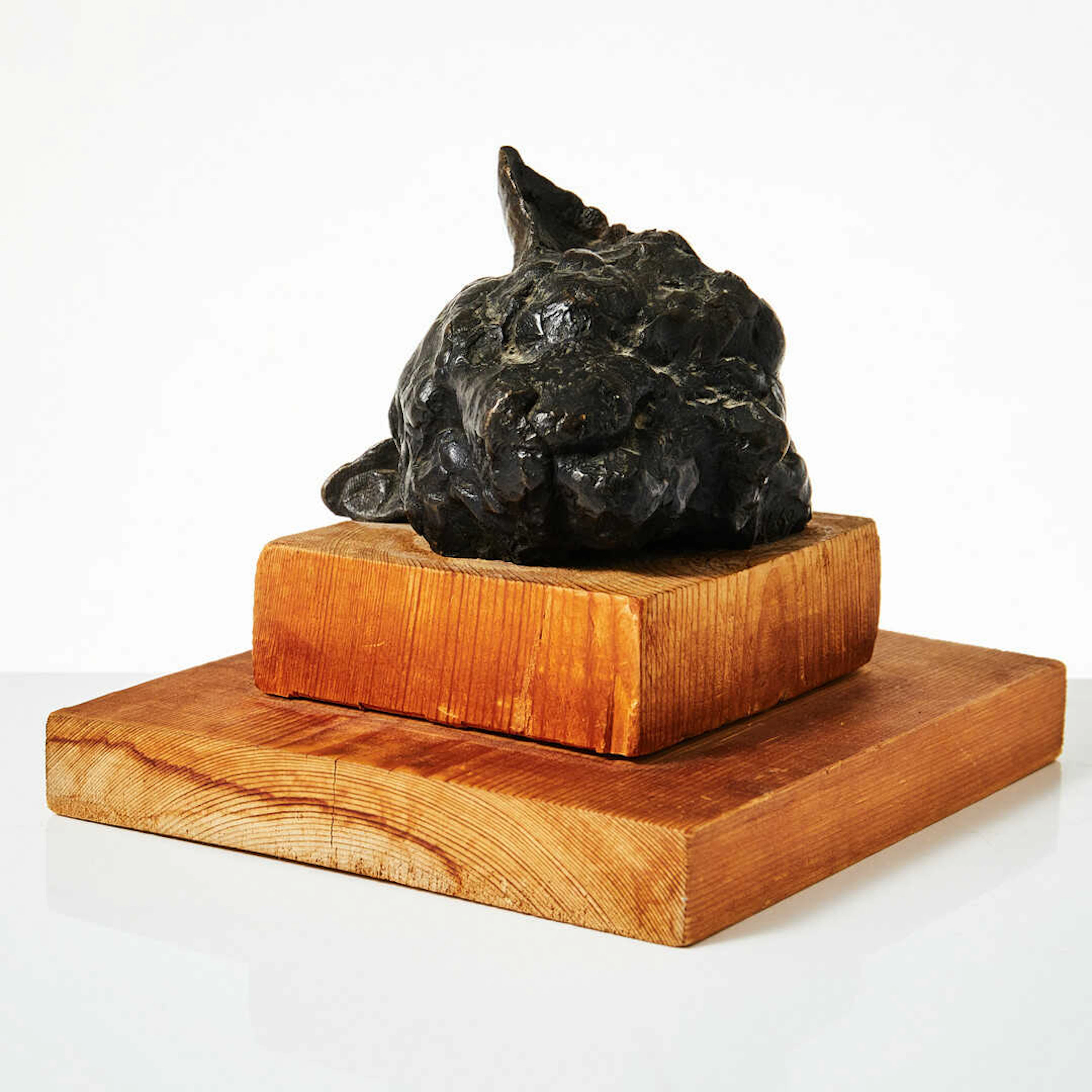 Cats head | Ingegerd Lundahl Olsson